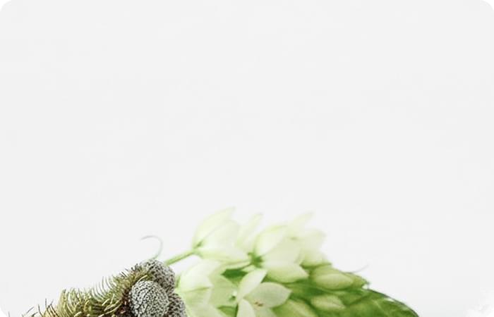 test 4